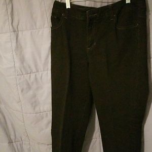 CHICO'S PLATINUM DEMIN